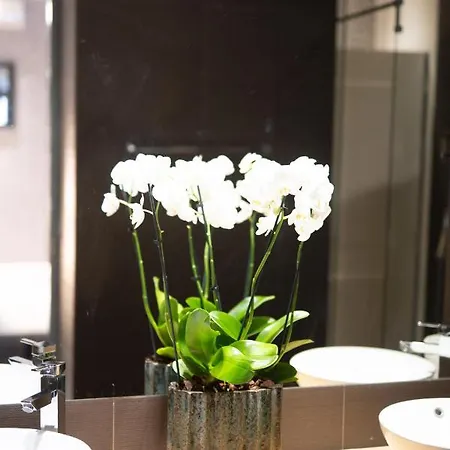 Bliss - Avenidas Лиссабон